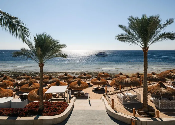 Sunrise Remal 5* Sarm es-Sejk